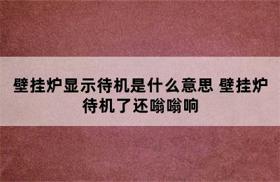 壁挂炉显示待机是什么意思 壁挂炉待机了还嗡嗡响